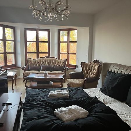 Dogs Resort And Spa Horni Bezdekov Eksteriør billede
